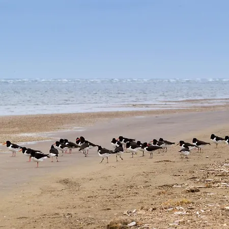 Vakantiehuis 4 Person In *