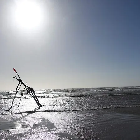 Vakantiehuis 4 Person In *