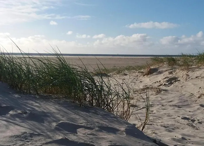 4 Person In 度假居